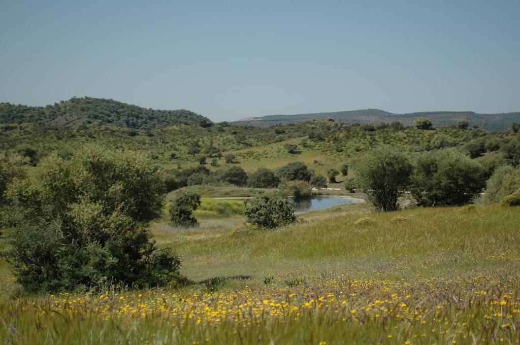 Albergue Rural De Fuente Agria Hostel Villafranca de Córdoba Екстериор снимка